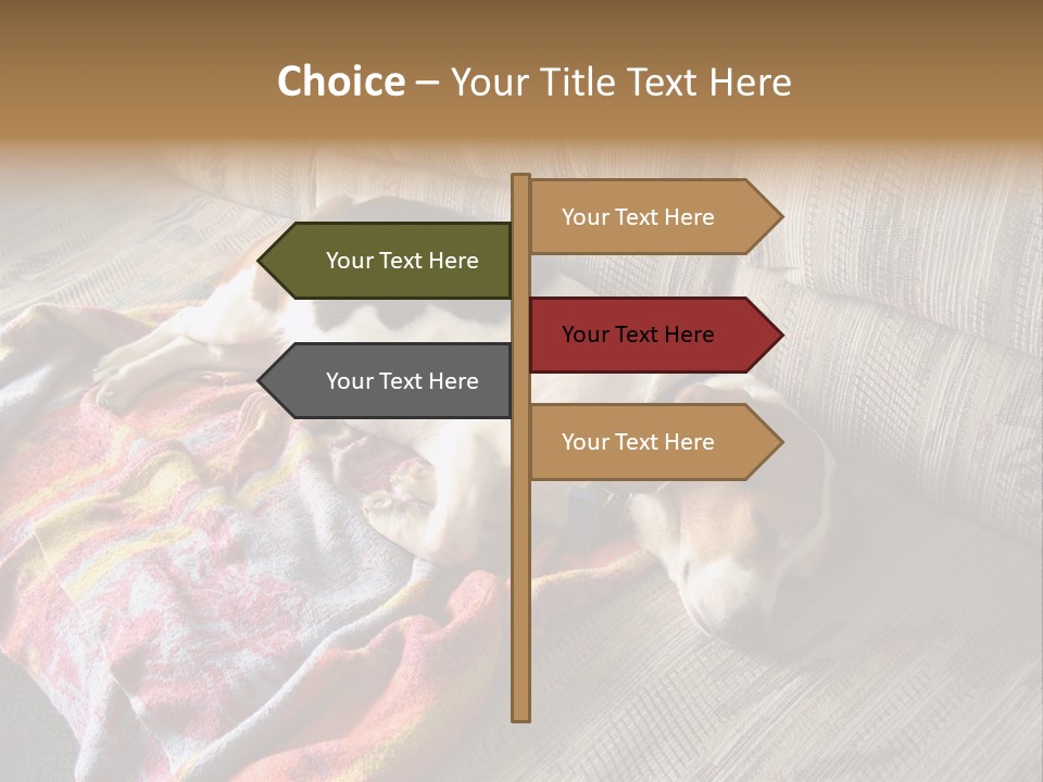 This Naughty Beagle Snuck Onto The Couch And Is Taking A Nap. PowerPoint Template