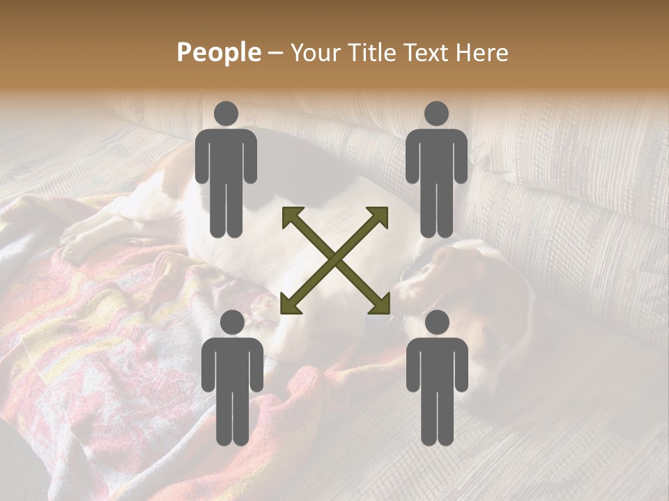 This Naughty Beagle Snuck Onto The Couch And Is Taking A Nap. PowerPoint Template