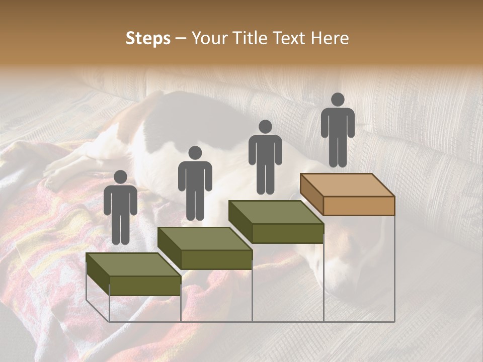 This Naughty Beagle Snuck Onto The Couch And Is Taking A Nap. PowerPoint Template
