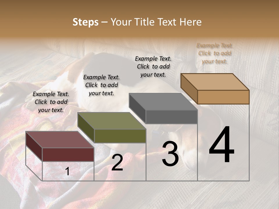 This Naughty Beagle Snuck Onto The Couch And Is Taking A Nap. PowerPoint Template