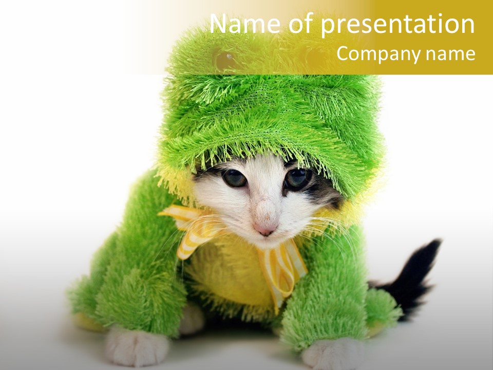 Cat In Frog Costume PowerPoint Template