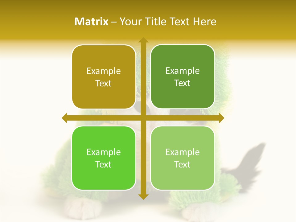 Cat In Frog Costume PowerPoint Template