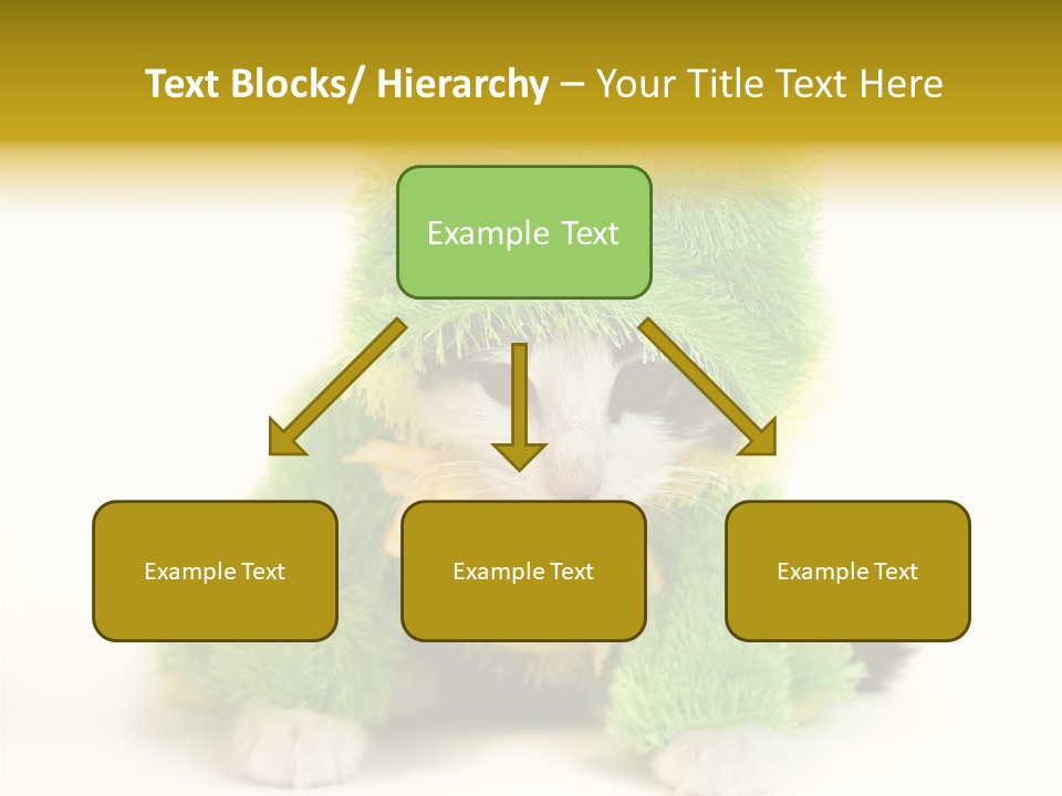 Cat In Frog Costume PowerPoint Template