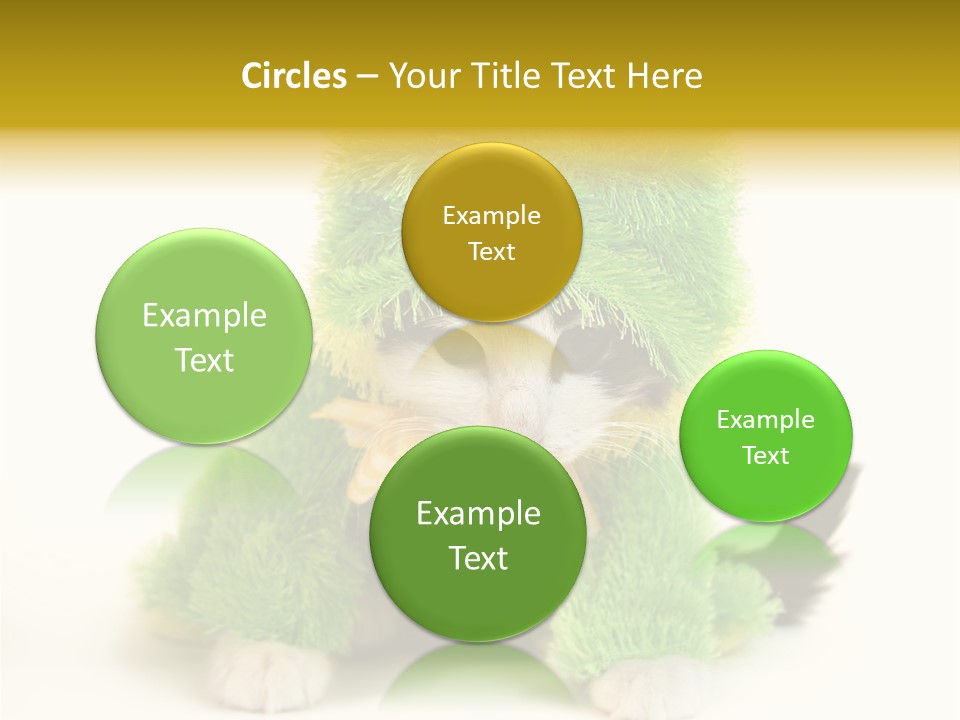 Cat In Frog Costume PowerPoint Template