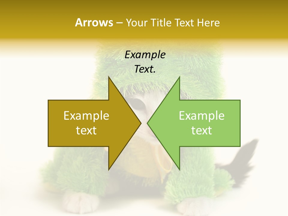 Cat In Frog Costume PowerPoint Template