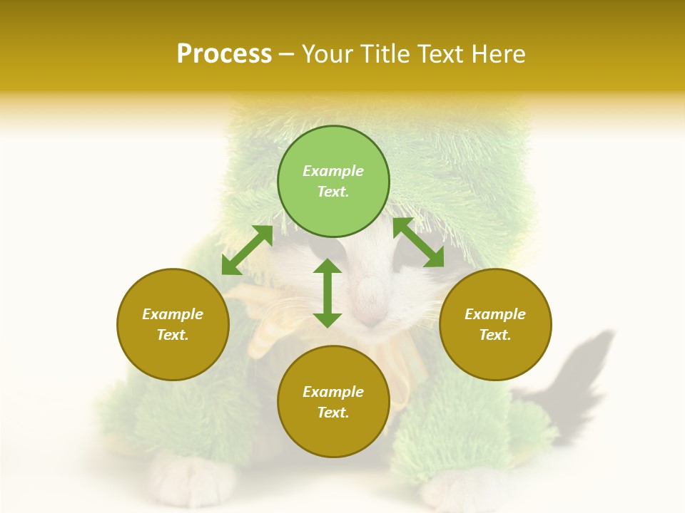 Cat In Frog Costume PowerPoint Template
