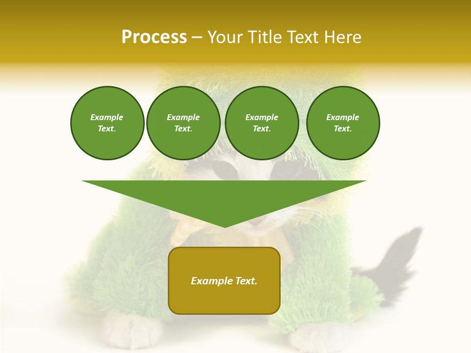 Cat In Frog Costume PowerPoint Template