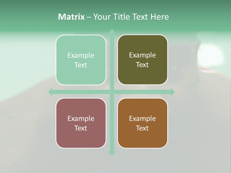 A Close Up Of A Man Wearing A Swimming Cap PowerPoint Template