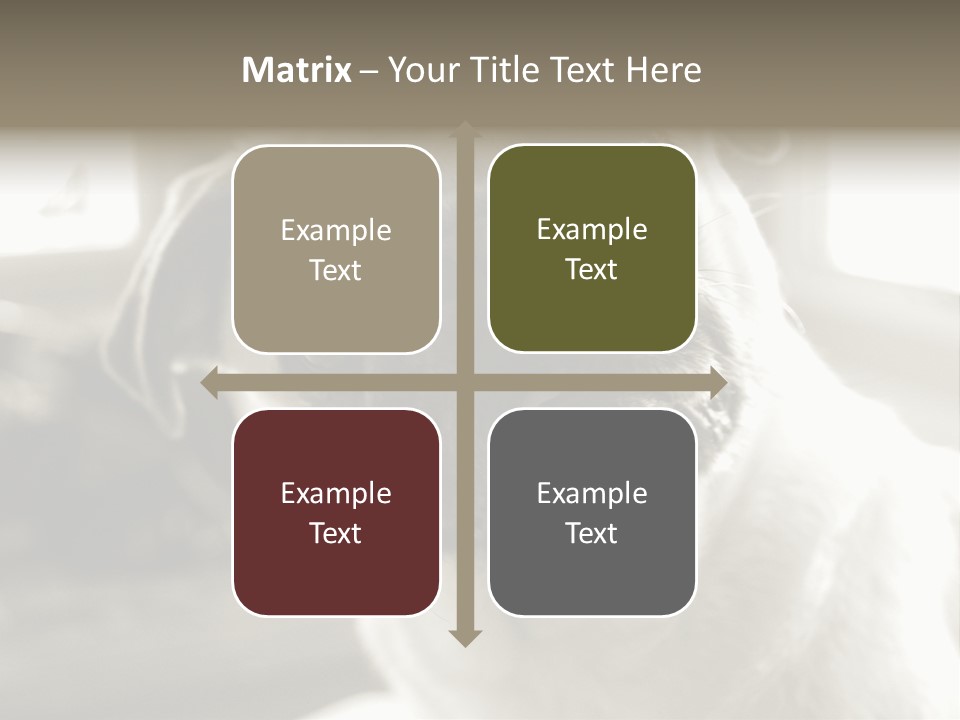 Pug Dog PowerPoint Template