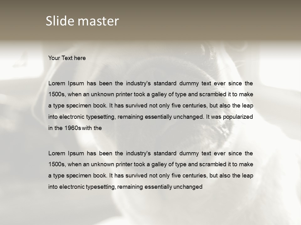 Pug Dog PowerPoint Template