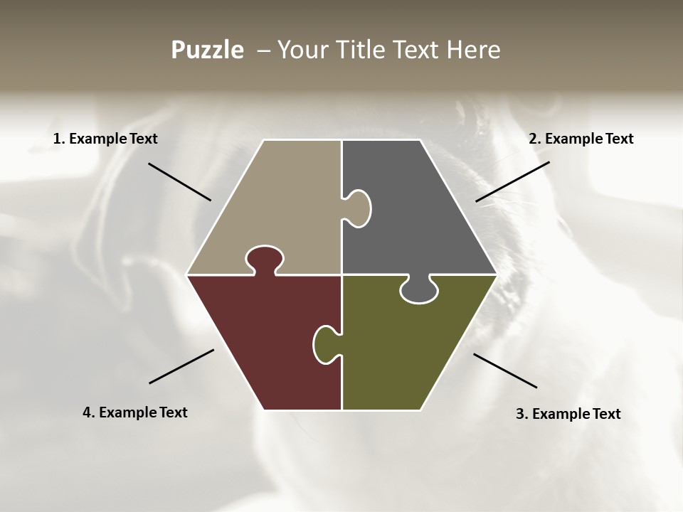 Pug Dog PowerPoint Template