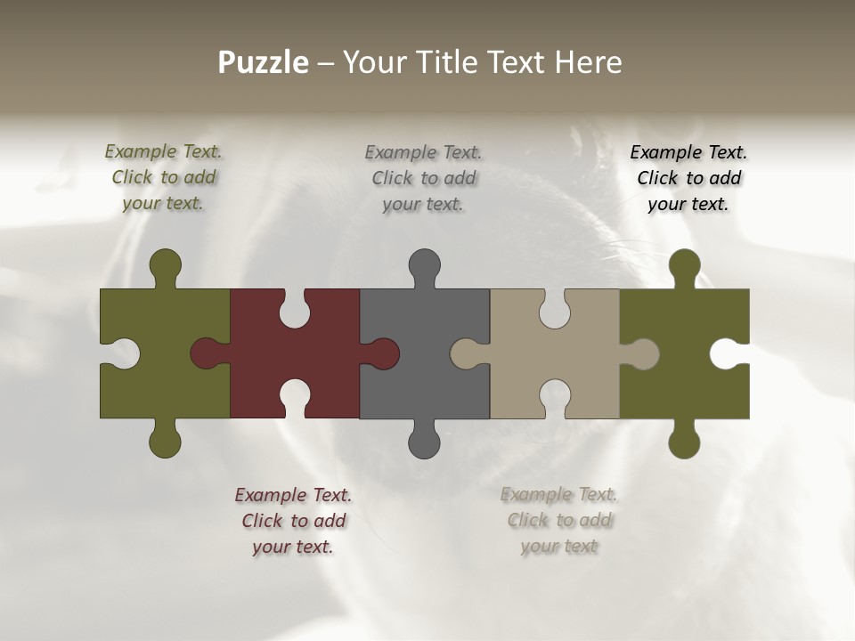 Pug Dog PowerPoint Template