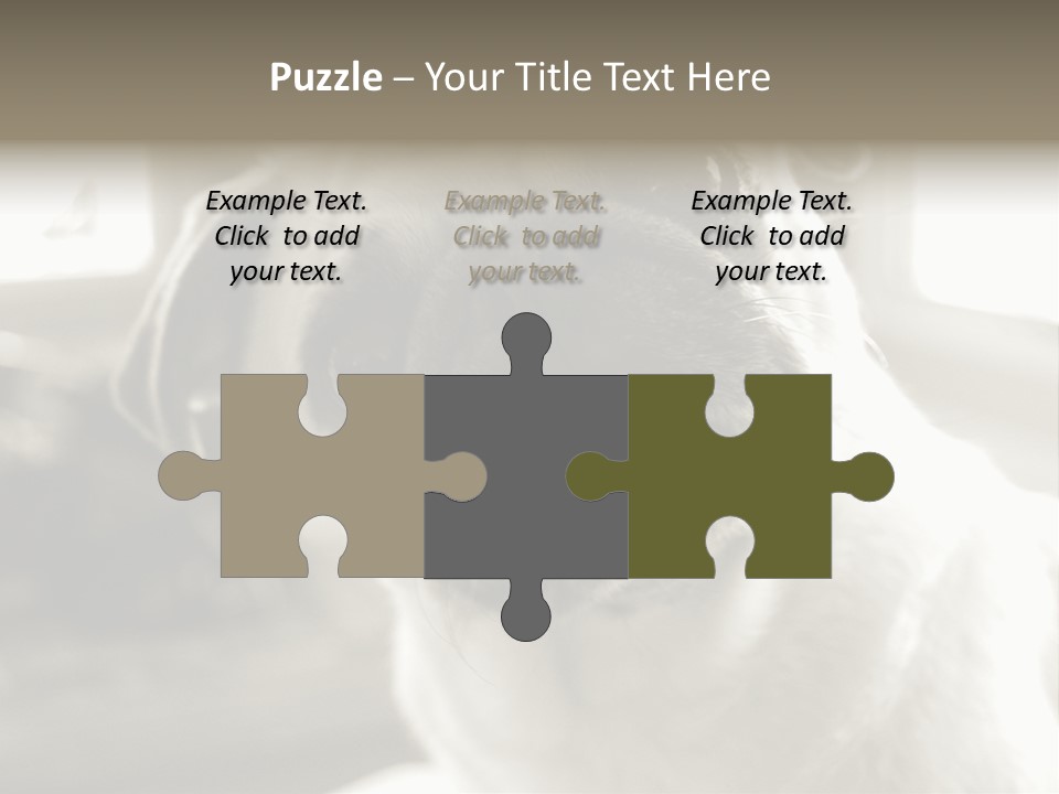 Pug Dog PowerPoint Template