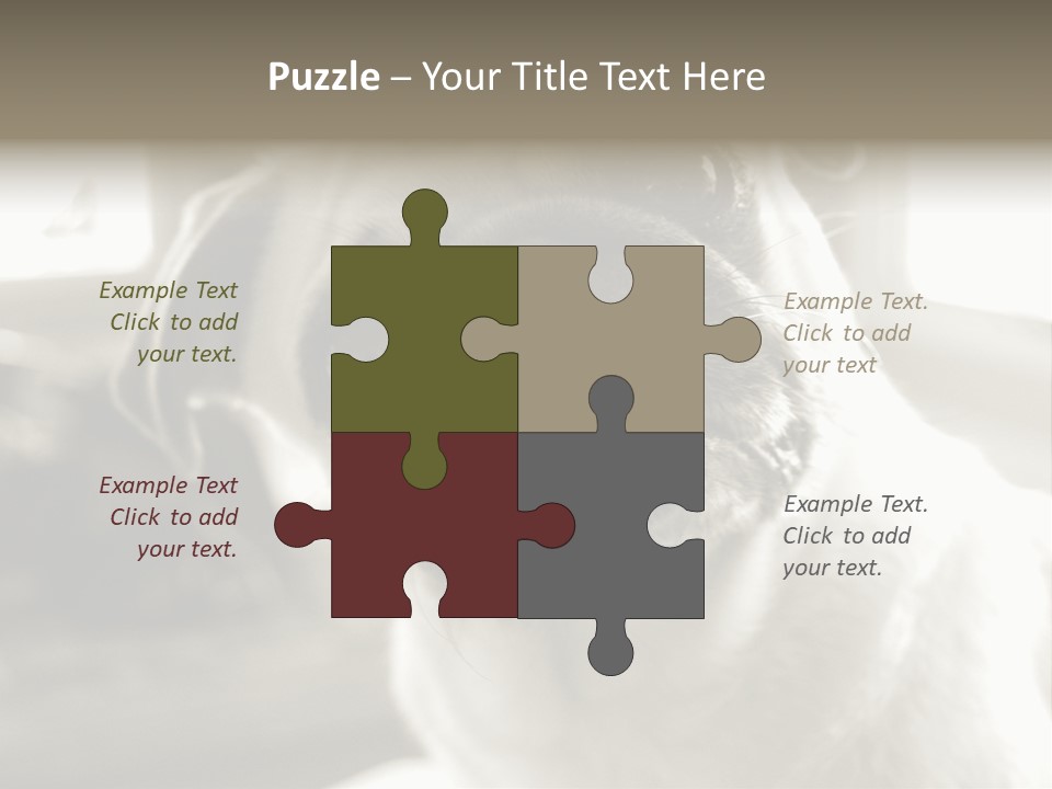 Pug Dog PowerPoint Template