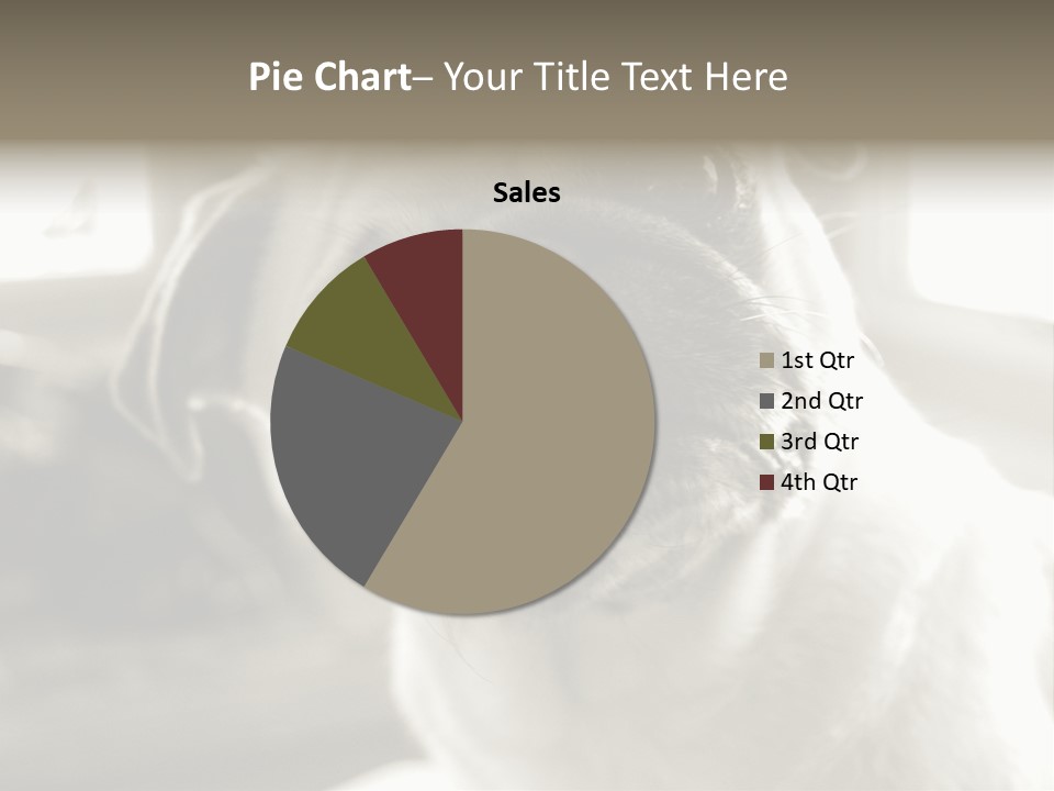 Pug Dog PowerPoint Template
