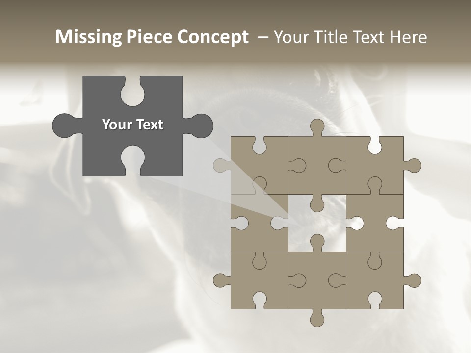 Pug Dog PowerPoint Template