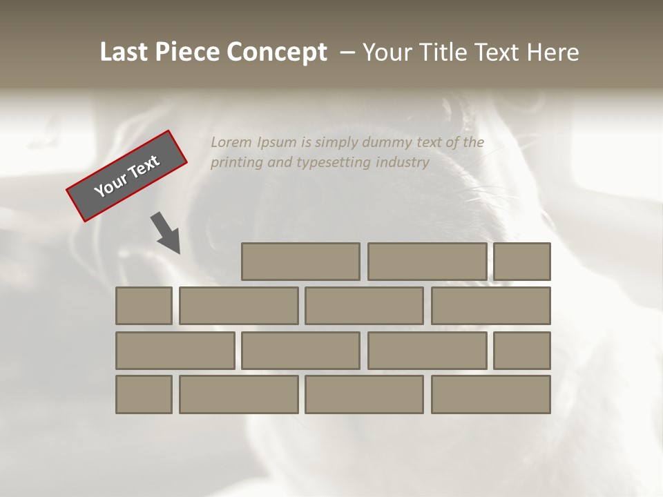 Pug Dog PowerPoint Template