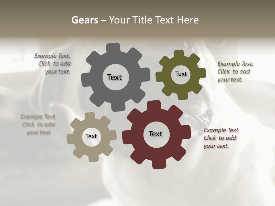 Pug Dog PowerPoint Template