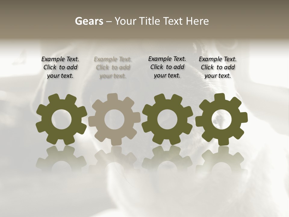 Pug Dog PowerPoint Template