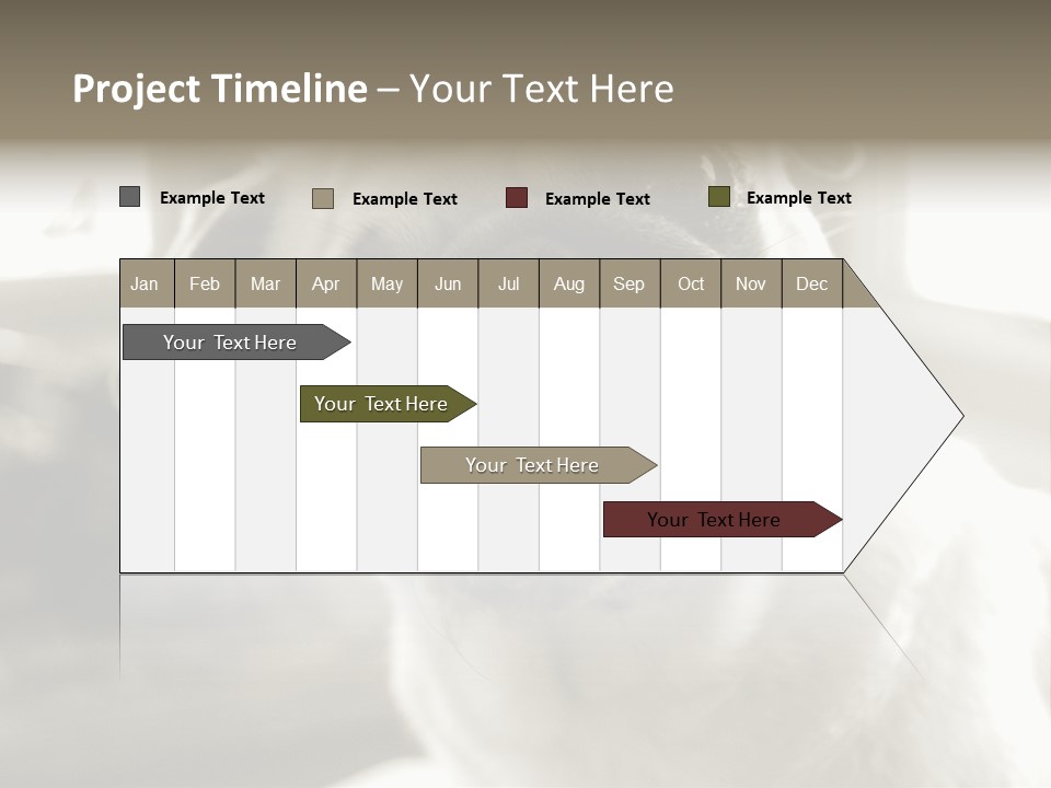 Pug Dog PowerPoint Template