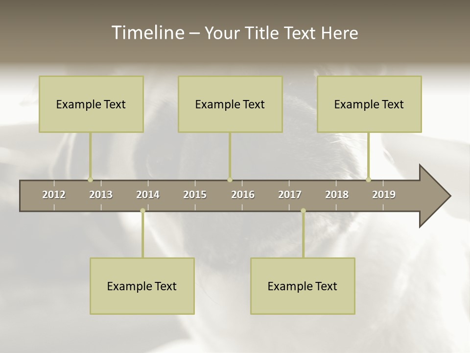 Pug Dog PowerPoint Template