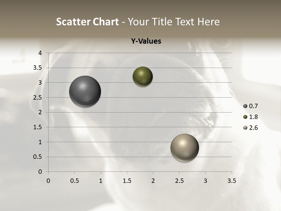 Pug Dog PowerPoint Template