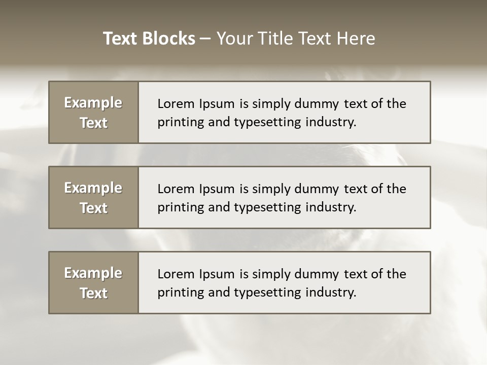 Pug Dog PowerPoint Template
