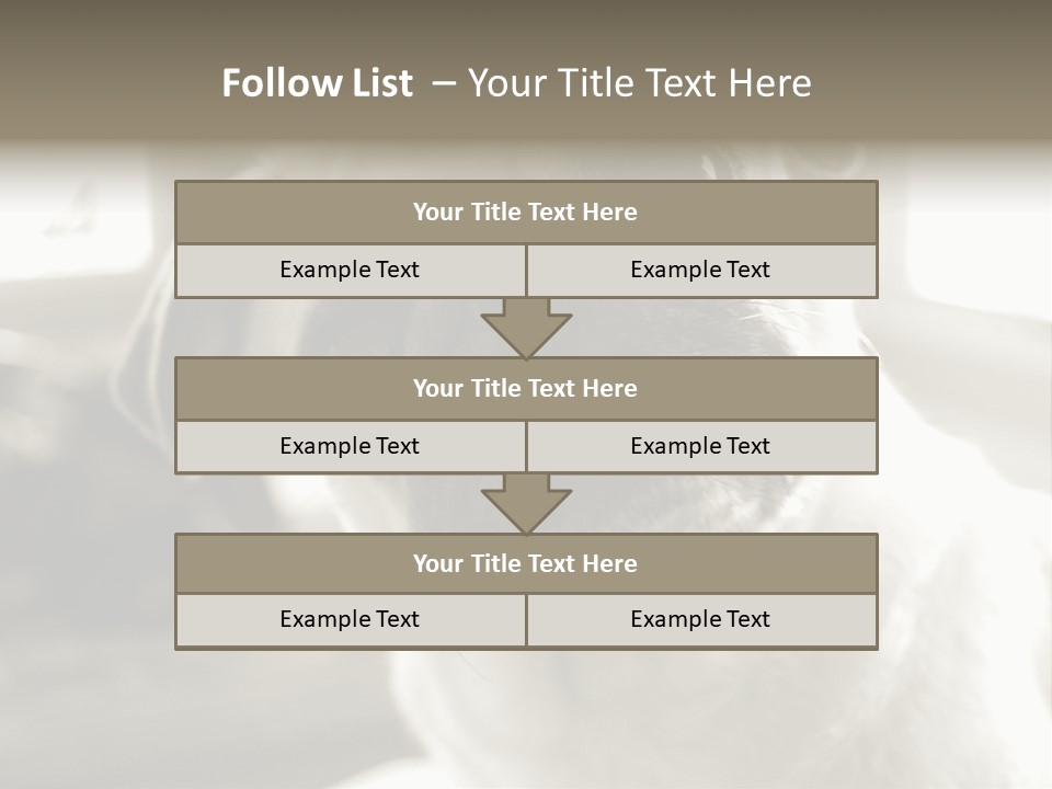 Pug Dog PowerPoint Template