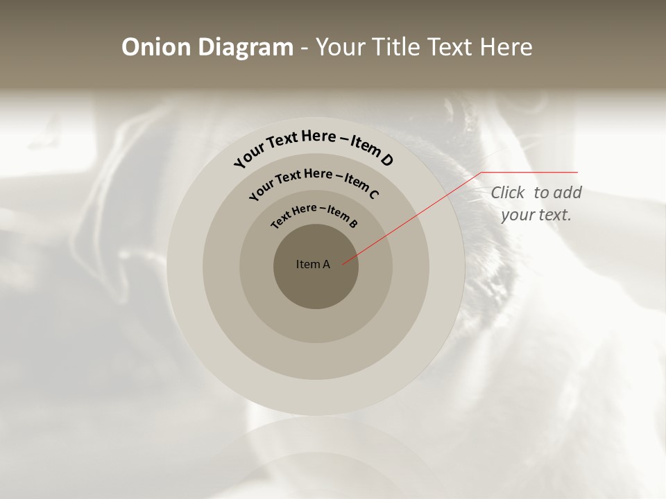 Pug Dog PowerPoint Template