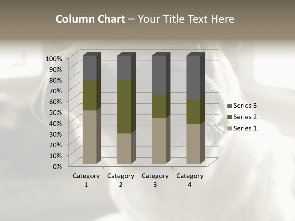 Pug Dog PowerPoint Template