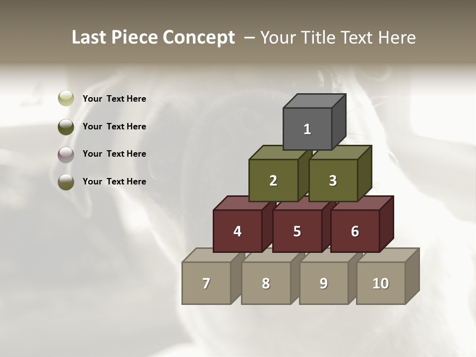 Pug Dog PowerPoint Template