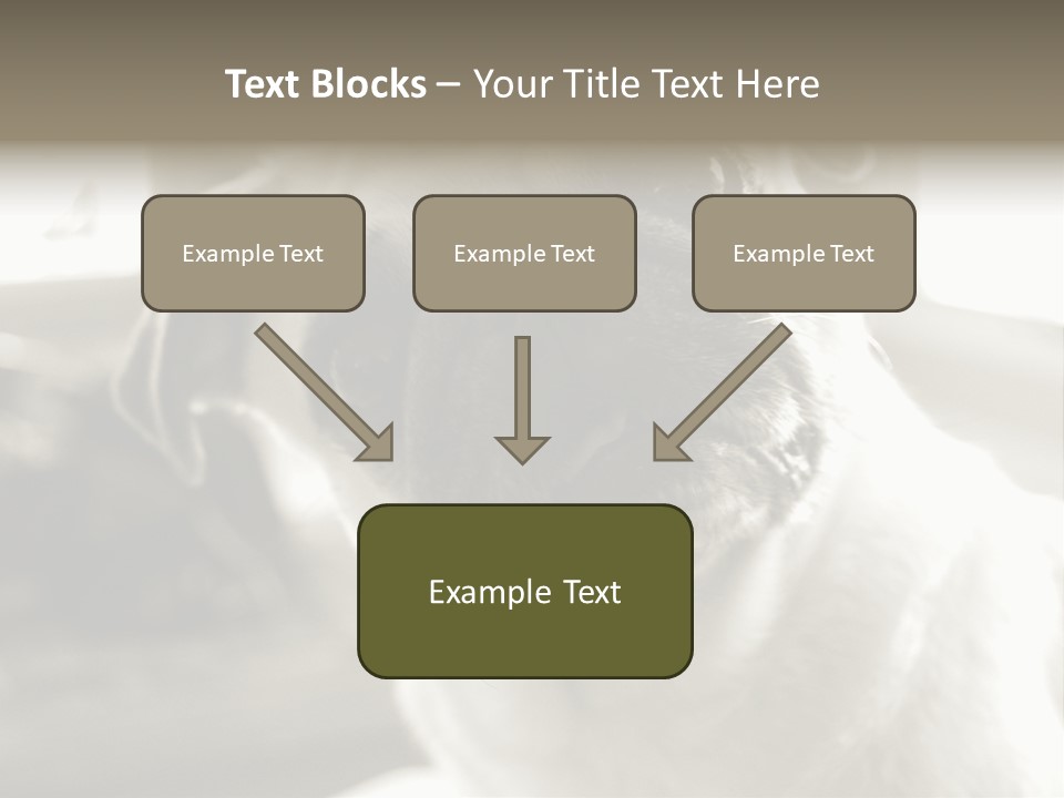 Pug Dog PowerPoint Template