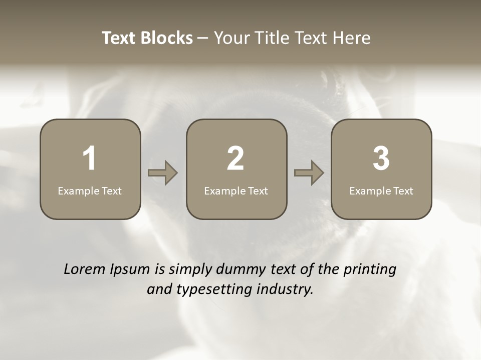 Pug Dog PowerPoint Template