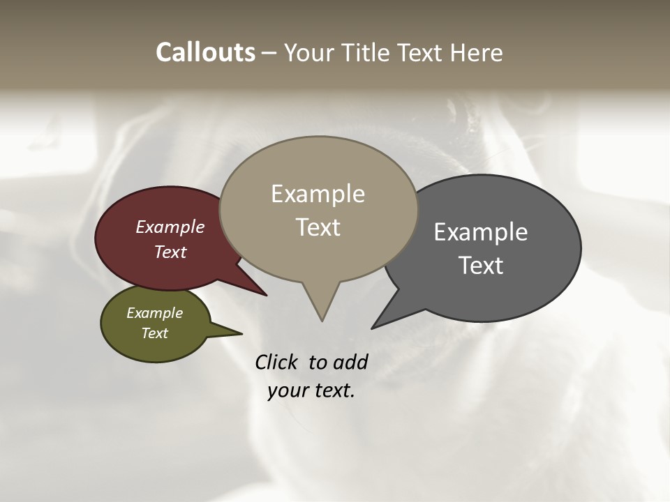 Pug Dog PowerPoint Template