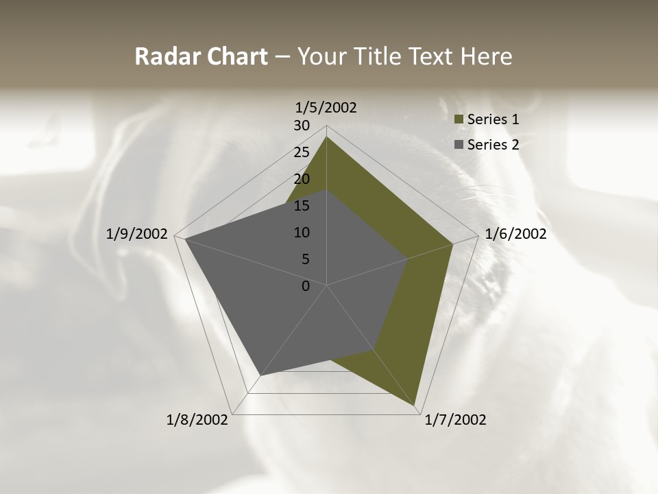 Pug Dog PowerPoint Template