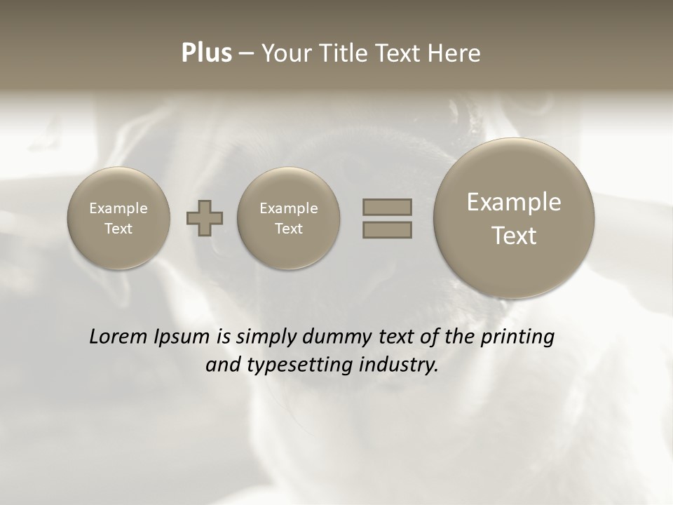 Pug Dog PowerPoint Template