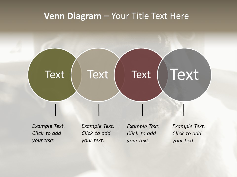 Pug Dog PowerPoint Template