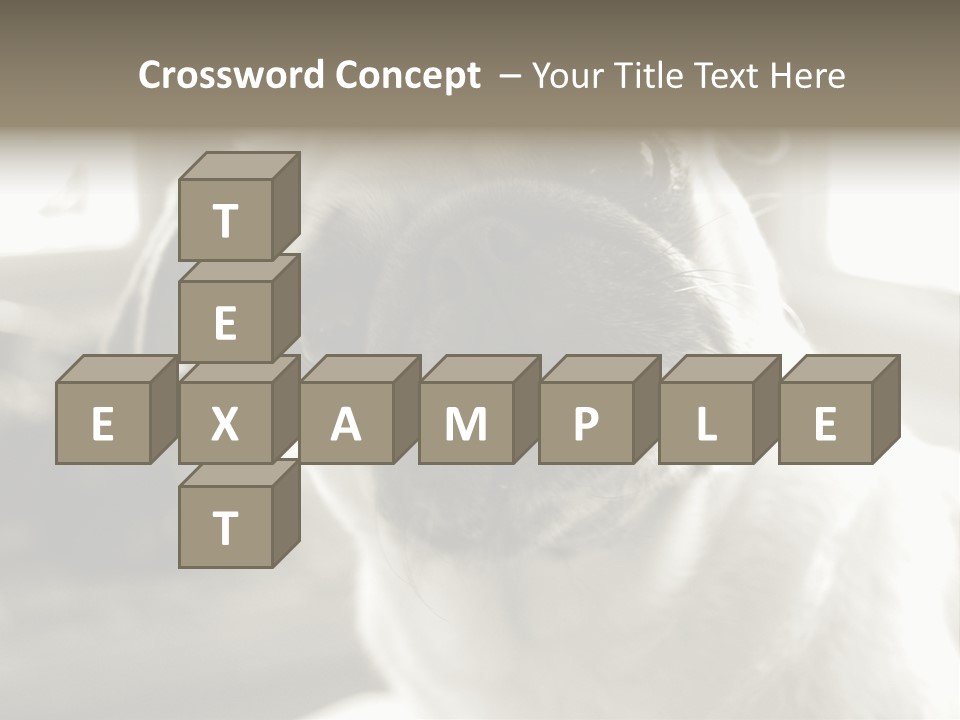 Pug Dog PowerPoint Template