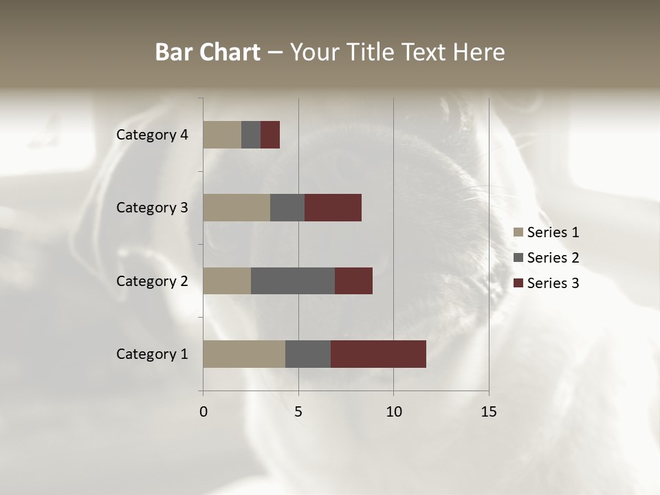 Pug Dog PowerPoint Template