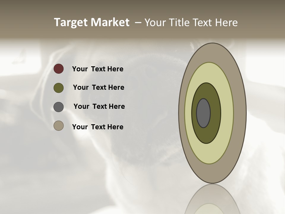 Pug Dog PowerPoint Template