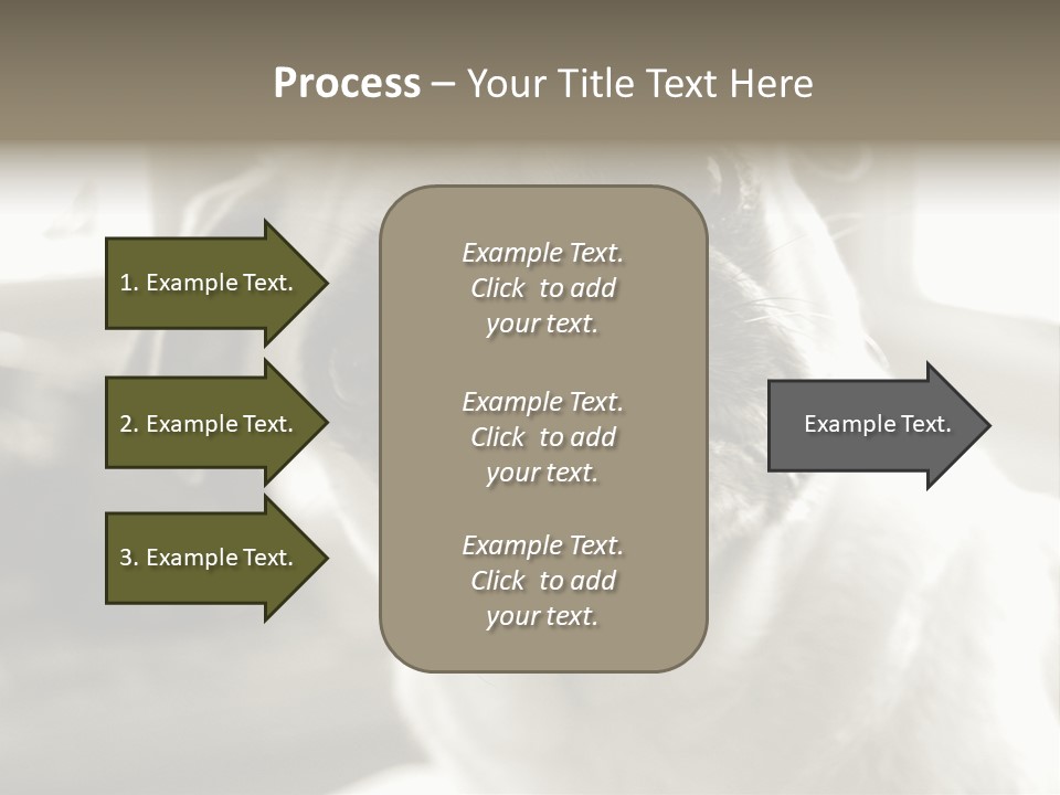 Pug Dog PowerPoint Template