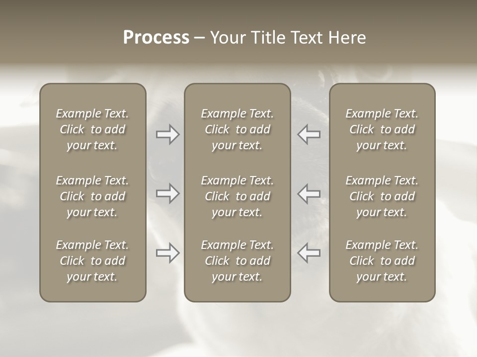 Pug Dog PowerPoint Template