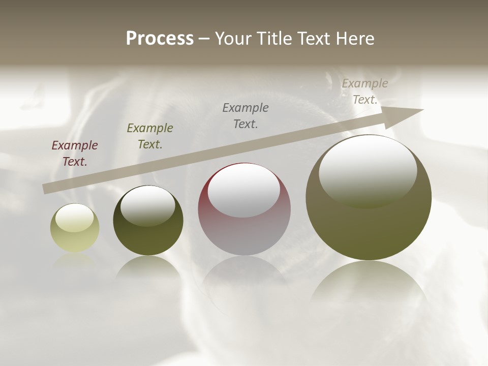 Pug Dog PowerPoint Template