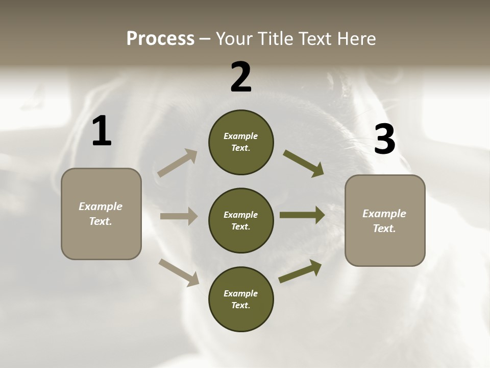 Pug Dog PowerPoint Template