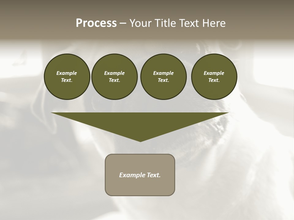 Pug Dog PowerPoint Template