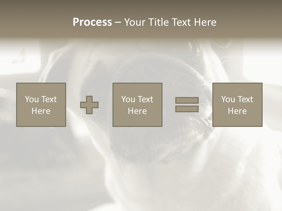 Pug Dog PowerPoint Template