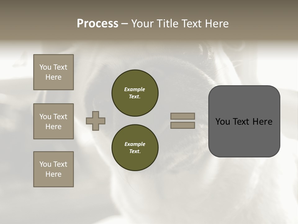 Pug Dog PowerPoint Template