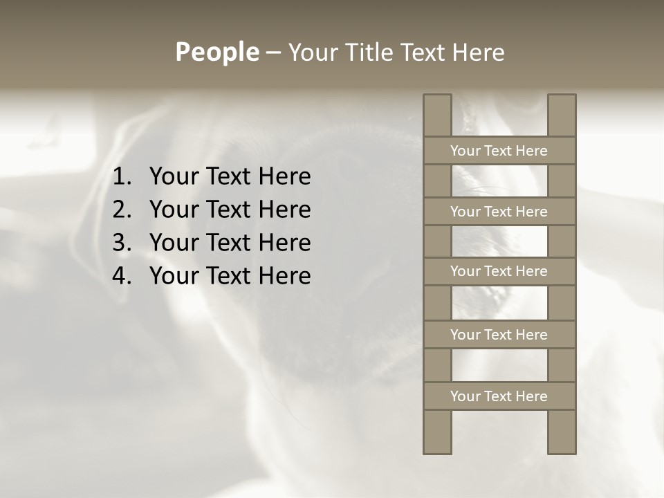 Pug Dog PowerPoint Template