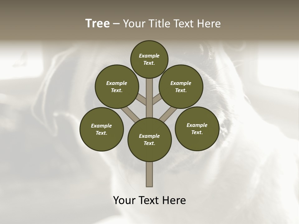 Pug Dog PowerPoint Template