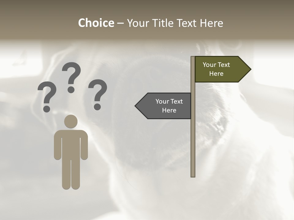 Pug Dog PowerPoint Template